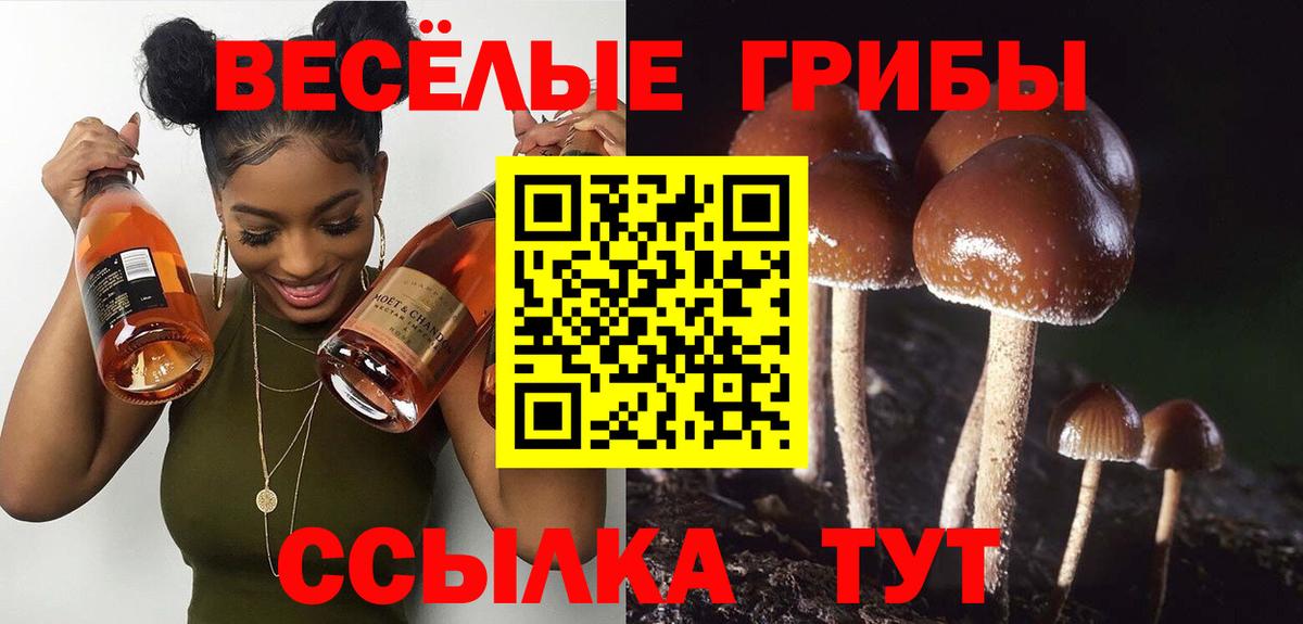 Галлюциногенные грибы MAGIC MUSHROOMS  Галлюциногенные грибы Psilocybe  Вход с VPN  Красногорск 